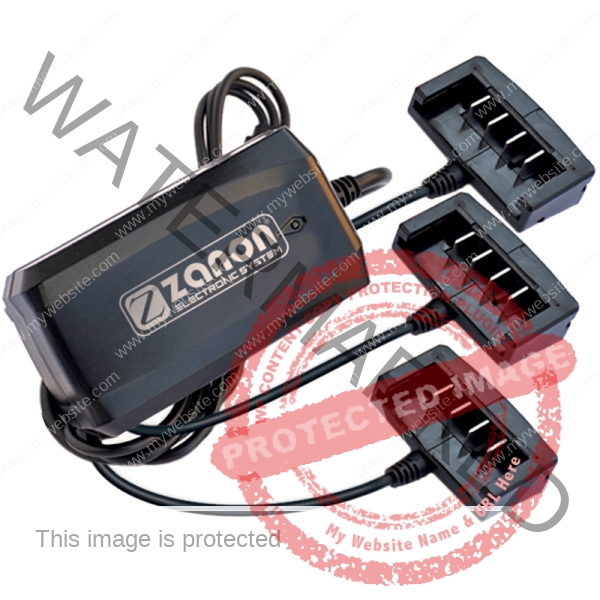 Potatore a batteria ZP 100 Manuale ZANON